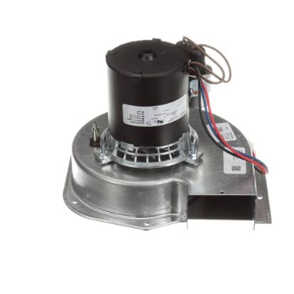 Picture of Trane BLW01379 Blower; Inducer, 208-230/60/1, 2945 Rpm,