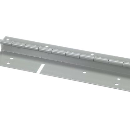 Picture of Trane HNG00106 Hinge, Door, 10-Inch