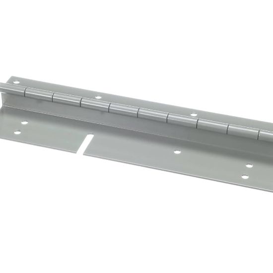 Picture of Trane HNG00106 Hinge, Door, 10-Inch
