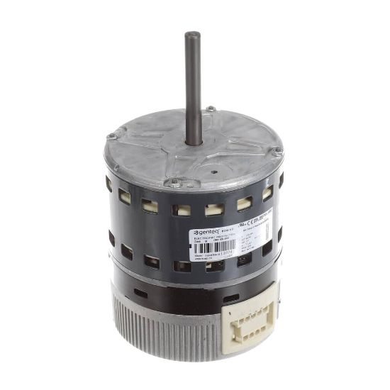Picture of Trane MOT13981 Repl-motor