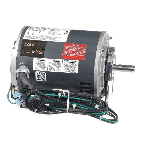 Picture of Trane MOT16118 Motor; Alternating Current, 1-1/2 Hp 460
