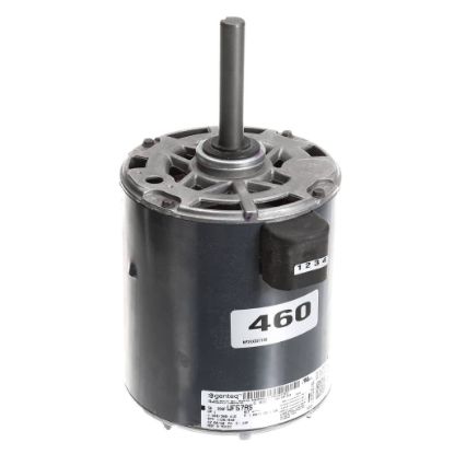 Picture of Trane MOT17979 Motor; Ac; 1 Hp, 460 60 3,1125