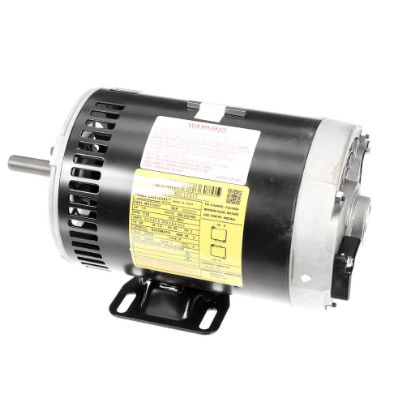 Picture of Trane MOT17517 Motor, 1 Hp, 208-230/460/60/3,