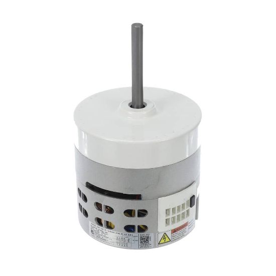 Picture of Trane MOT20798 Motor; Brushless Dc Motor