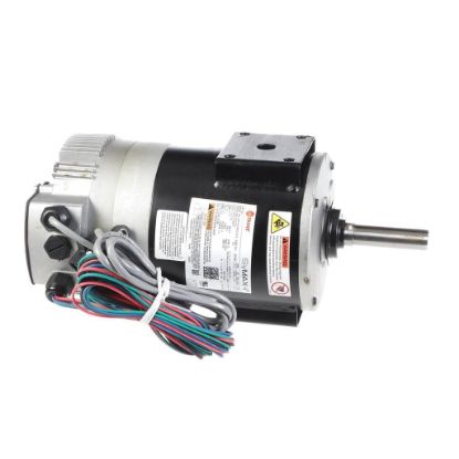 Picture of Trane MOT20605 Motor; Regal Symax-i 56 Assembly