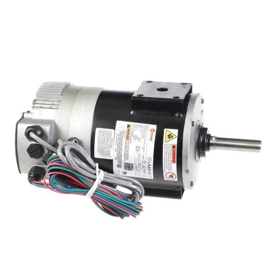 Picture of Trane MOT20605 Motor; Regal Symax-i 56 Assembly