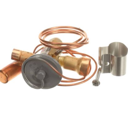 Picture of Trane VAL12605 Valve; Thermal Expansion Assembly