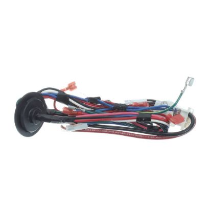 Picture of Trane WIR09455 Wire; Harness Asm-ctm