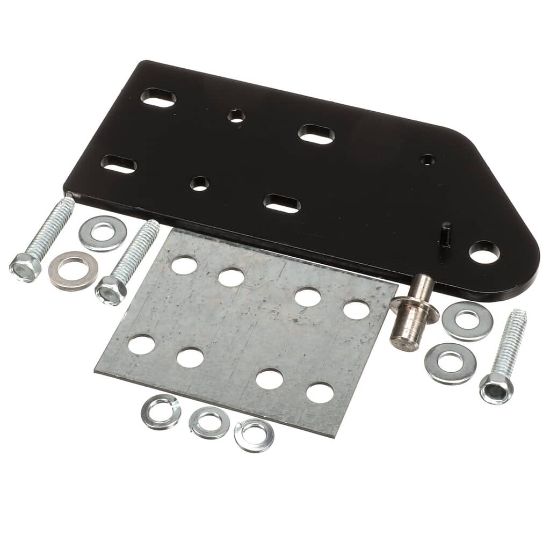 Picture of TRUE 215330 Hinge Assembly Top Rh Flm