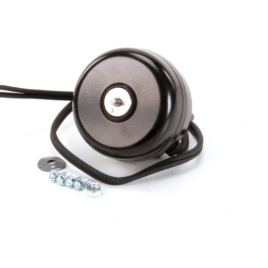 Picture of TRUE 800424 Motor, Sp-b203hba16 115V 60/50