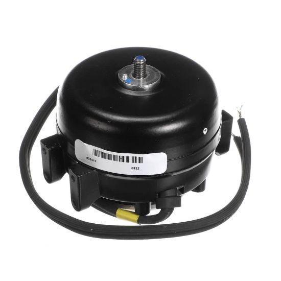 Picture of TRUE 800417 Motor, Sp-b203hma1 115V 60/50