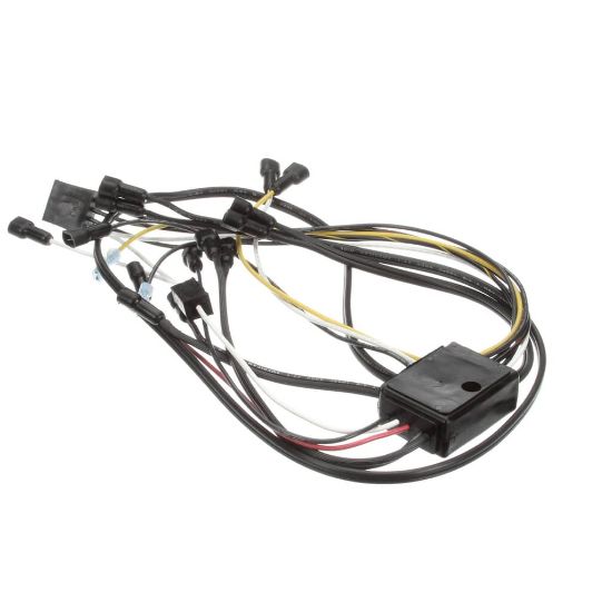 Picture of TRUE 801734 Wire Harness, Junction Box #5325