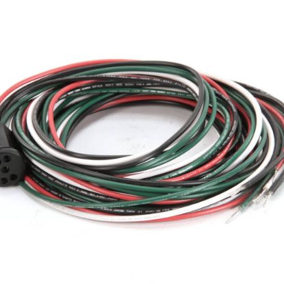 Picture of TRUE 801763 Power Cord, Tm-r63-01 W/90 Lead Idl Door Receptac