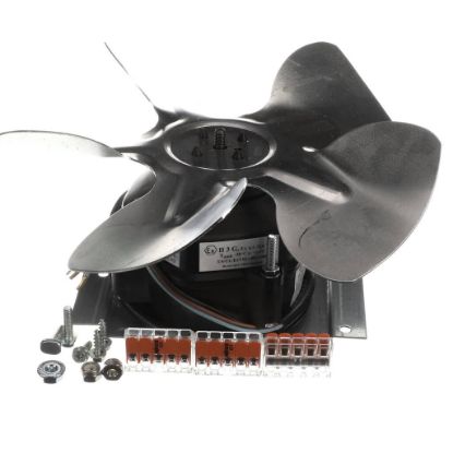 Picture of TRUE 813042 Fan Motor Kit 225824