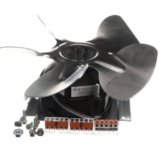 Picture of TRUE 813042 Fan Motor Kit 225824
