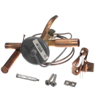 Picture of TRUE 813303 Valve Expansion Ebfse-azp, Inlet Strainer