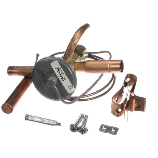 Picture of TRUE 813303 Valve Expansion Ebfse-azp, Inlet Strainer