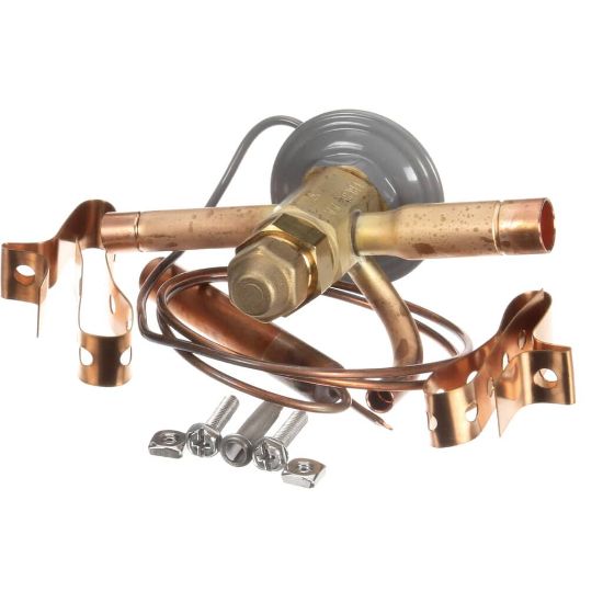 Picture of TRUE 813301 Valve Expansion Ebfse-aac, Inlet Strainer