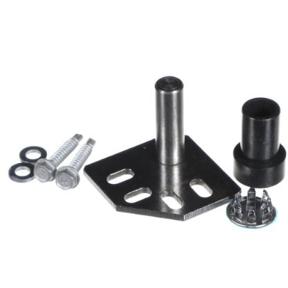 Picture of TRUE 828455 Hinge Kit, Door, Top, Reversable
