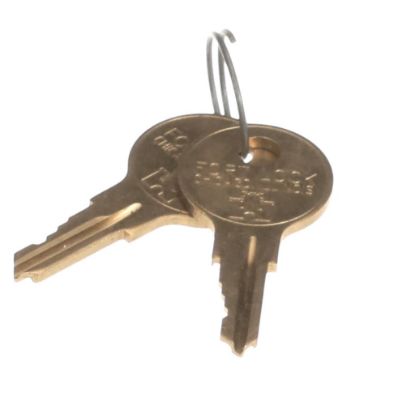 Picture of TRUE 829424 Set Of 2 Keys