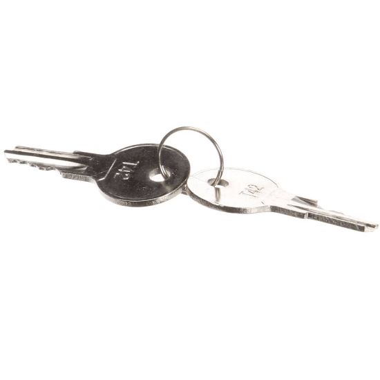 Picture of TRUE 831365 Key, T42 -831361 & 912987 Lock For Tr-ri & Rt Mode