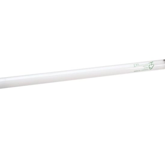 Picture of TRUE 841011 Lamp, L15w/21-840 Plus 15W