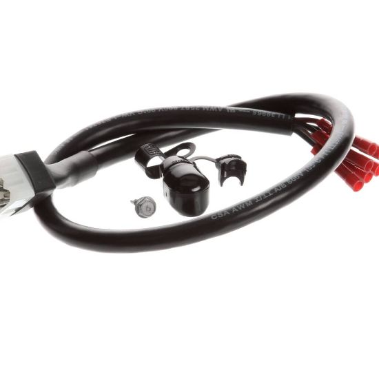 Picture of TRUE 881619 Powercord Kit Idl 20 6 Wire