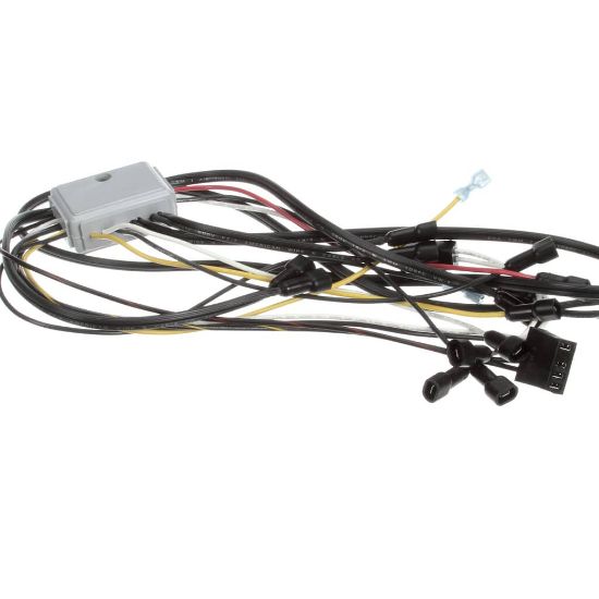 Picture of TRUE 908554 Wire Harness, Emf J-1-5 With Wires For Drain Pan H
