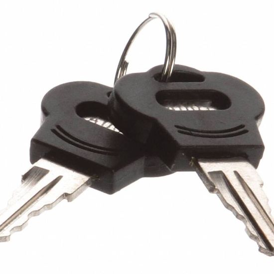 Picture of TRUE 932992 Key, # A-001 For Lock 831373 & 917625