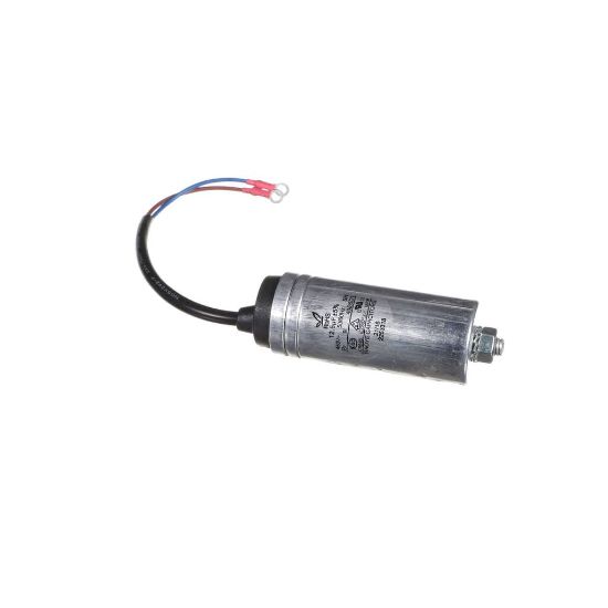Picture of TRUE 969640 Capacitor, Run 2253318(12.5Uf)