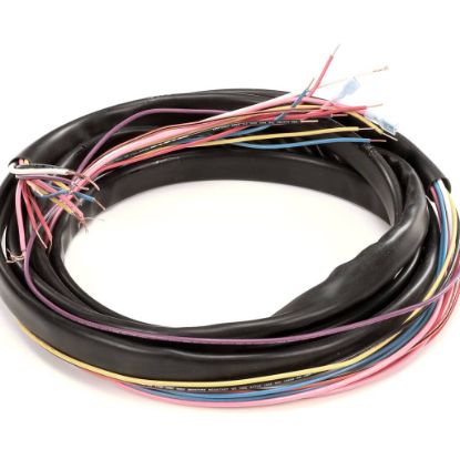 Picture of TRUE 971922 Wire Harness, Ups Coolers