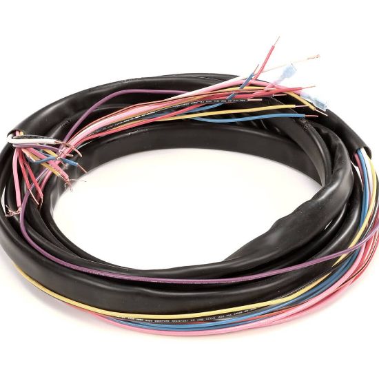 Picture of TRUE 971922 Wire Harness, Ups Coolers