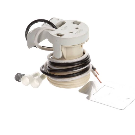Picture of TRUE 974812 Incandescent Lamp Socket Repla Cement Assembly
