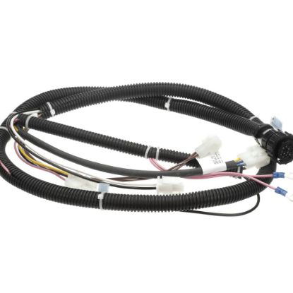 Picture of UltraFryer 22A670 Cable Main Bank Eu Ph Basic