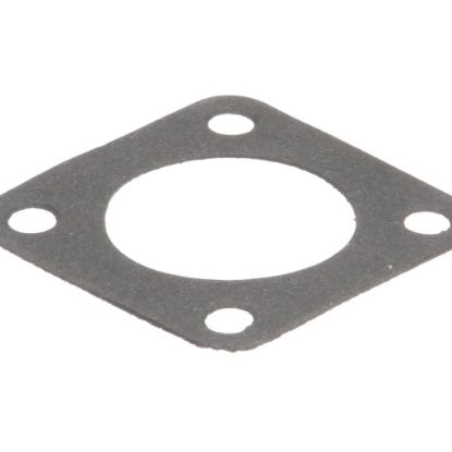 Picture of UltraFryer 24344 Gasket, Viking Pump/motor 24239,24A294