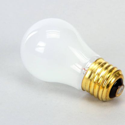 Picture of Vulcan 00-342766-00002 250V 40W Oven Lamp