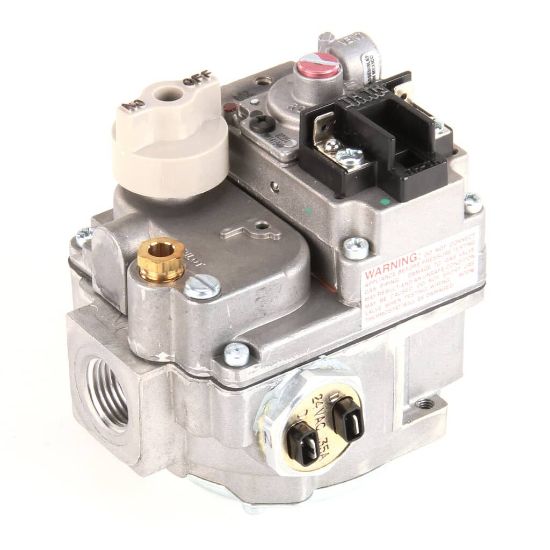 Picture of Vulcan 00-410841-00029 Valve Combination