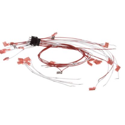 Picture of Vulcan 00-424198-000G1 Wire Set Assy.