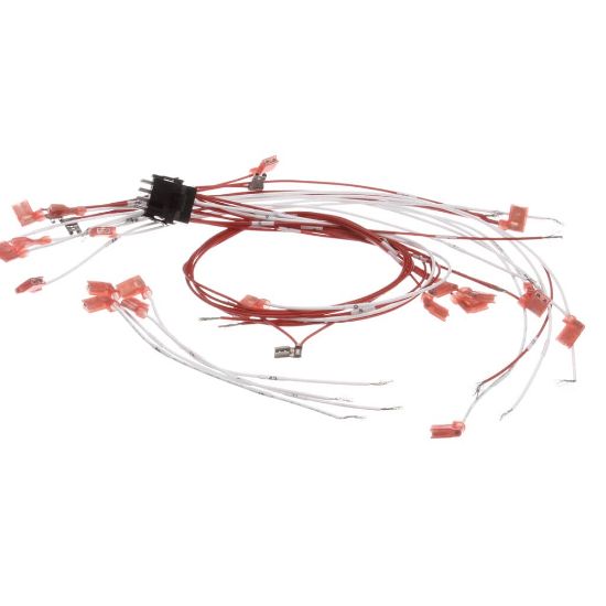 Picture of Vulcan 00-424198-000G1 Wire Set Assy.