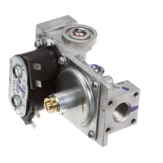 Picture of Vulcan 00-497269-00003 Valve Combo W.r. 25M7 2-704 Nat
