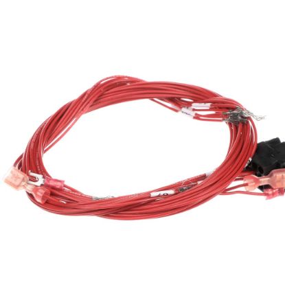 Picture of Vulcan 00-497694-000G2 Harness Body Wires