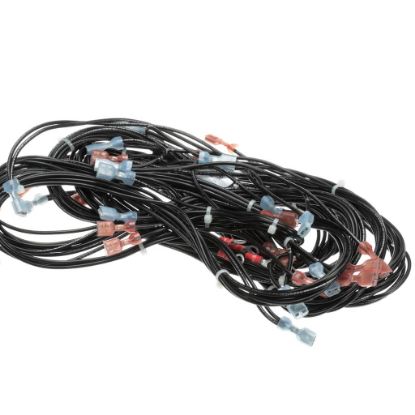 Picture of Vulcan 00-855691-00001 Harness