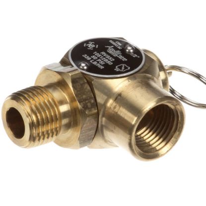 Picture of Vulcan 00-855968-00001 Safety Valve 1/2-Inchm X 1/2-Inchf