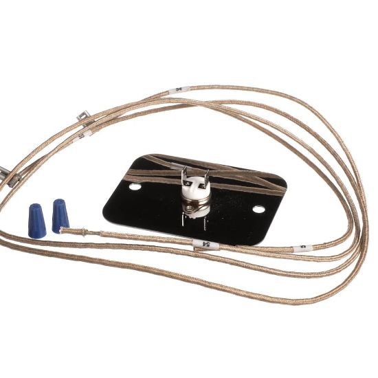 Picture of Vulcan 00-958827-000G3 Limit Thermostat