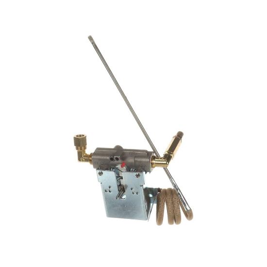Picture of Vulcan 00-976685-00550 T-stat & Valve 550F