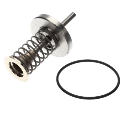 Picture of Watts 794014 Fourth Check Repair Kit For 2 1/2 To 3 I