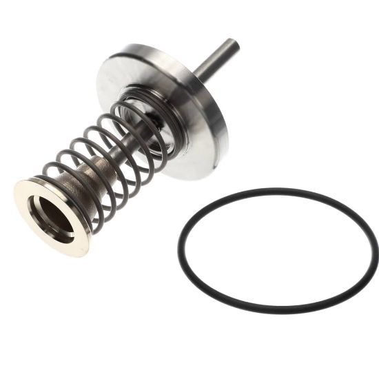 Picture of Watts 794014 Fourth Check Repair Kit For 2 1/2 To 3 I