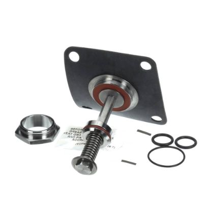 Picture of Watts 794059 Total Relief Valve Repair Kit For 1/2 An