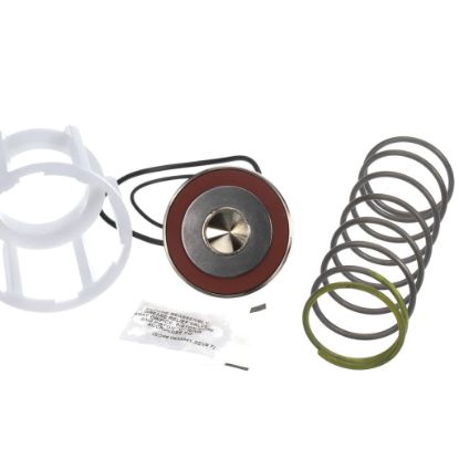 Picture of Watts 794063 First Check Repair Kit For 1 1/4 To 2 In