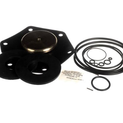 Picture of Watts 794089 Total Rubber Parts Repair Kit For 2 1/2